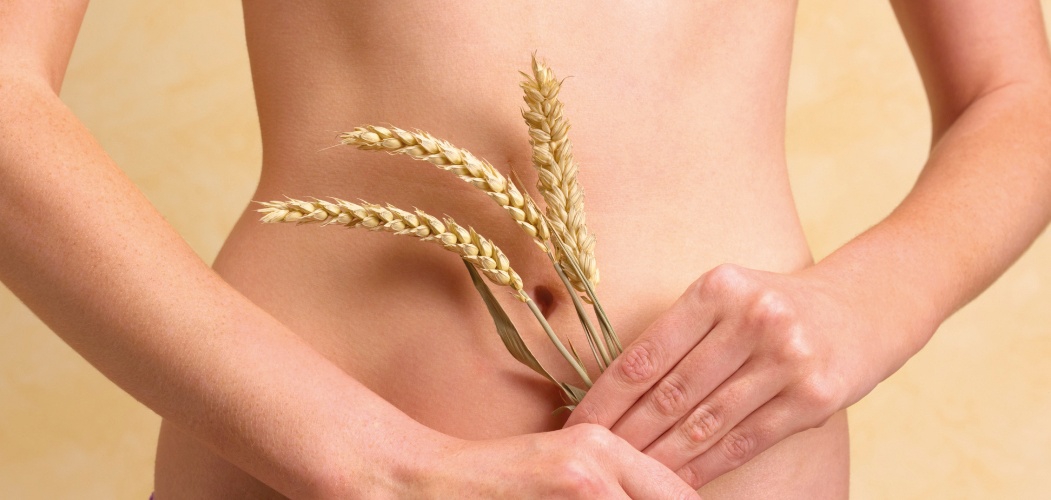 Kontroversi Diet Gandum