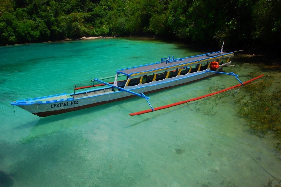 Destinasi Diving di Indonesia