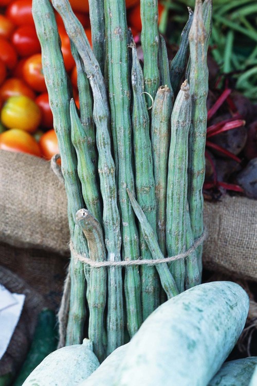 Apakah Ini Pengganti Sayur Kale?