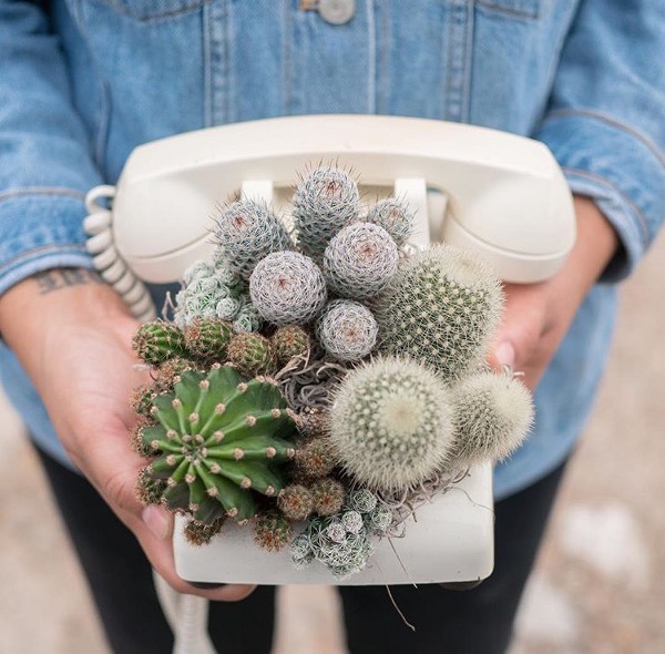 5 Akun Patut Follow untuk Inspirasi Urban Garden