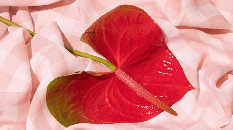 Fakta dan Mitos Seputar Hari Valentine