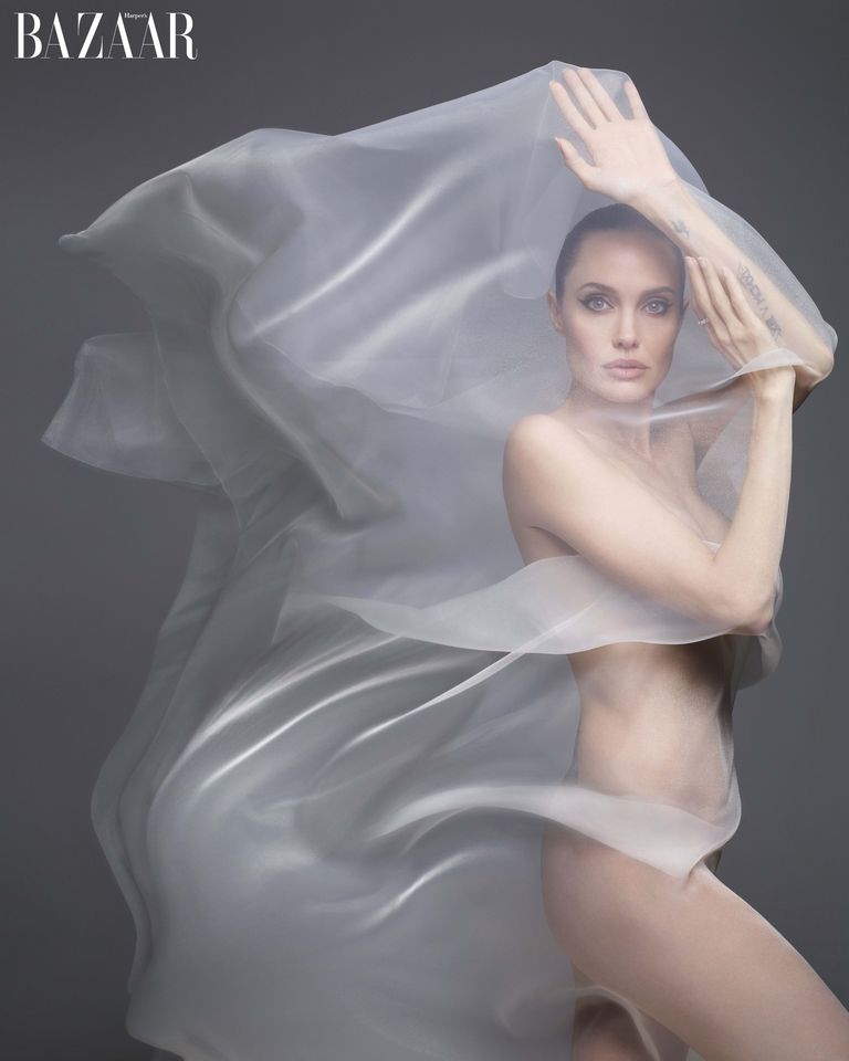 Brad Pitt Melarang Angeline Jolie Tinggal di Luar Negeri!
