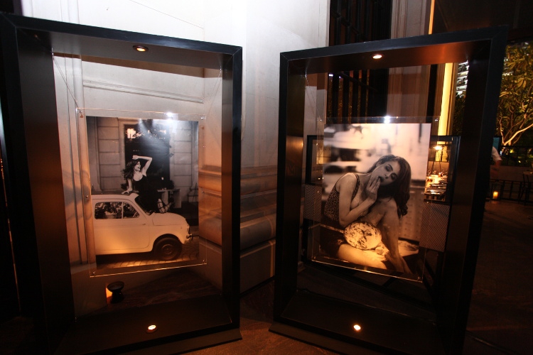 Eksplorasi Elegansi Fotografi