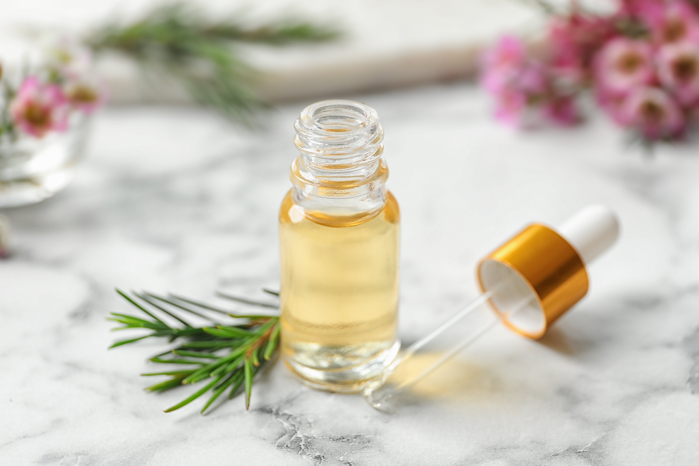 14 Manfaat Tea Tree Oil untuk Kebutuhan Anda