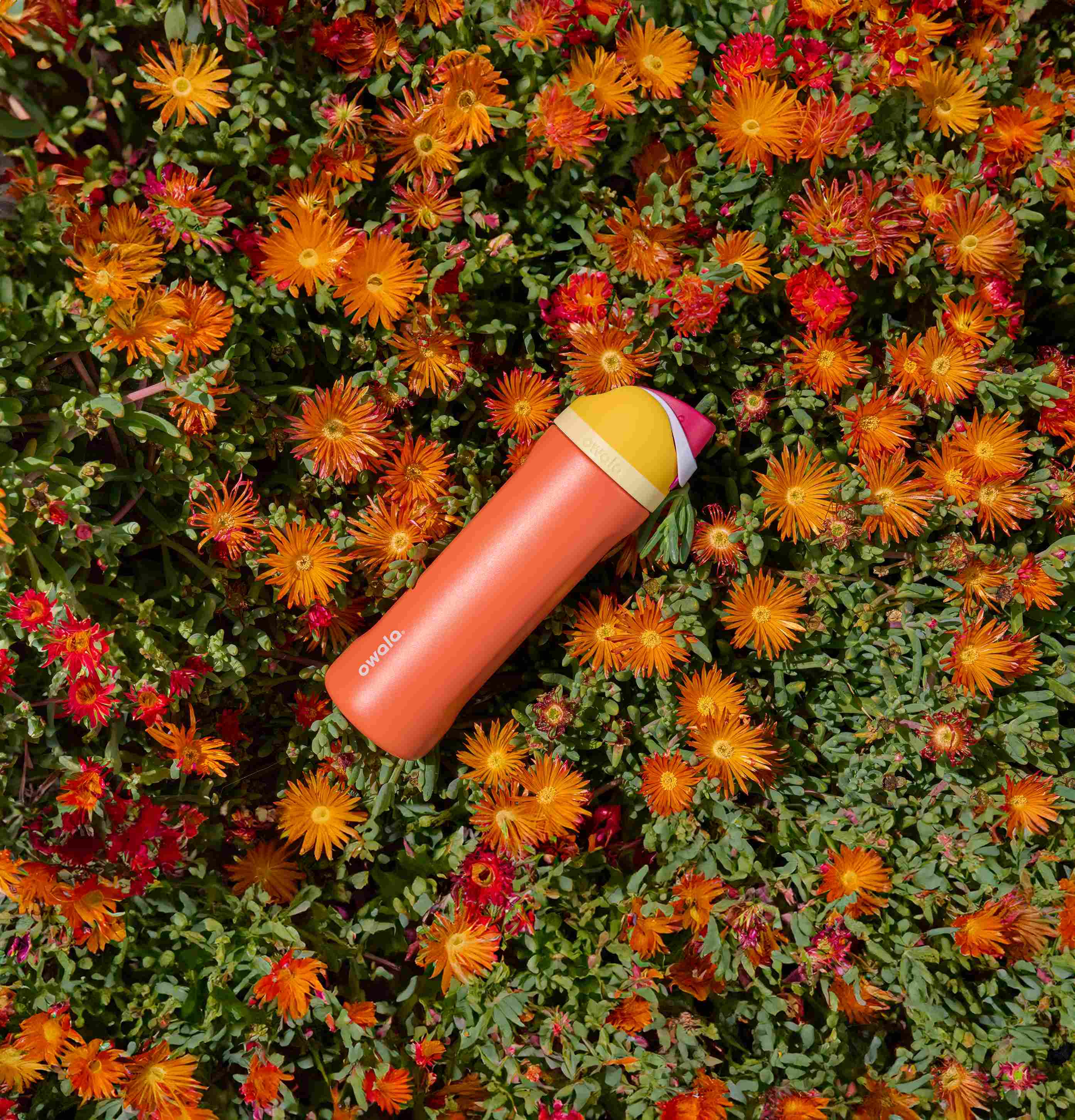 Owala Kembali Hadir di Indonesia