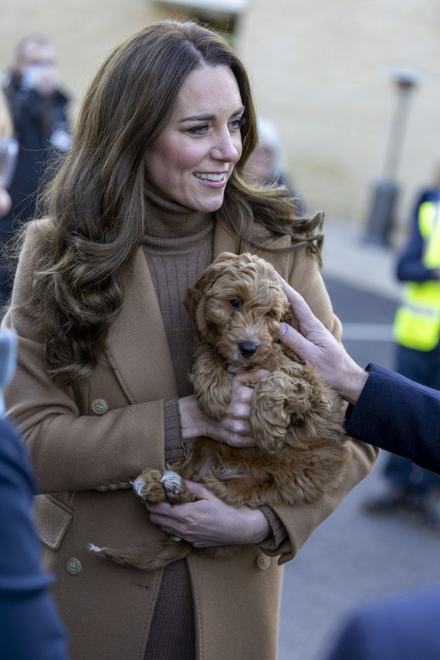 Duchess Kate bermain dengan anak anjing, Alfie.