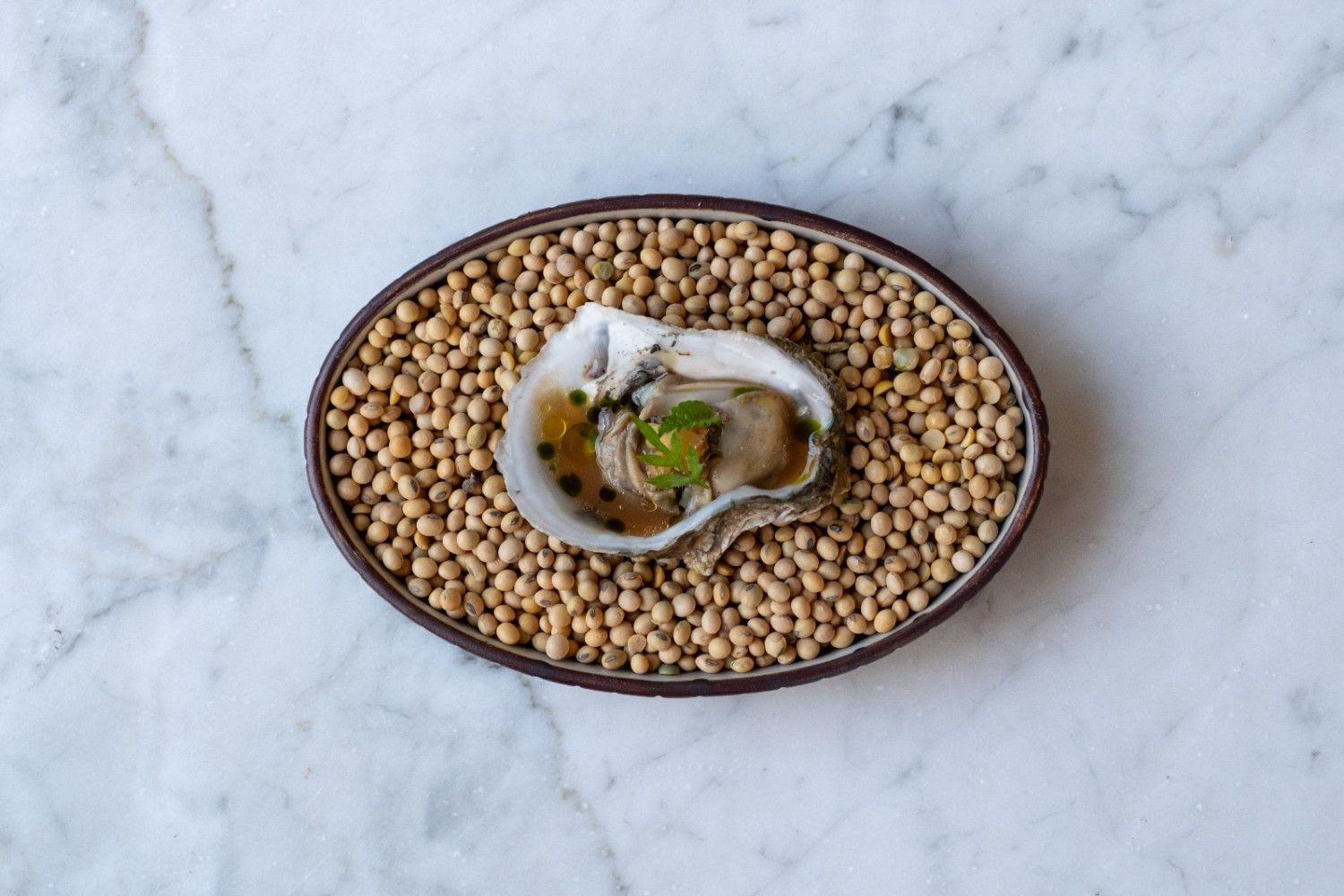 Oyster