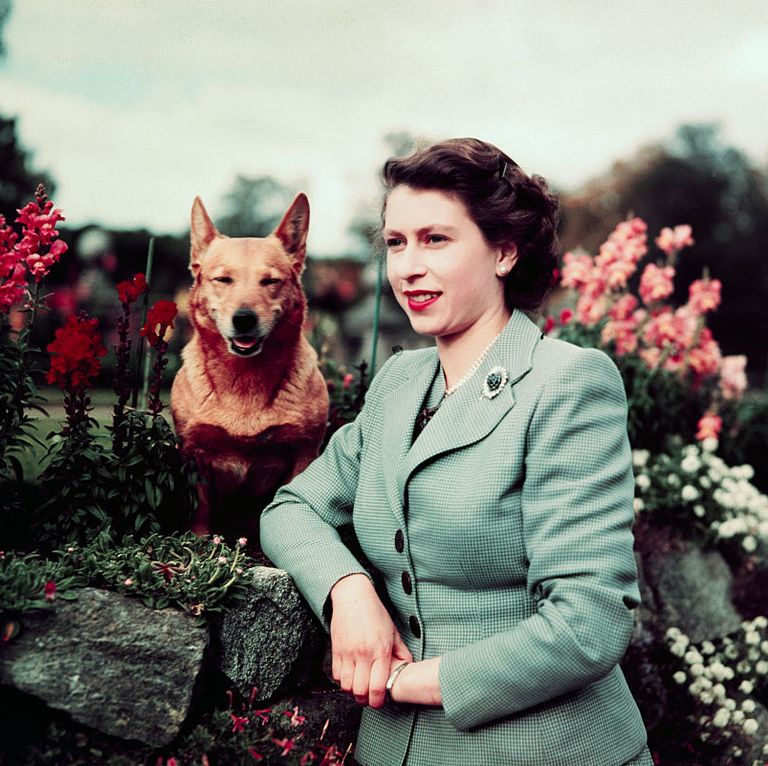 Film The Queen pada tahun 1952.