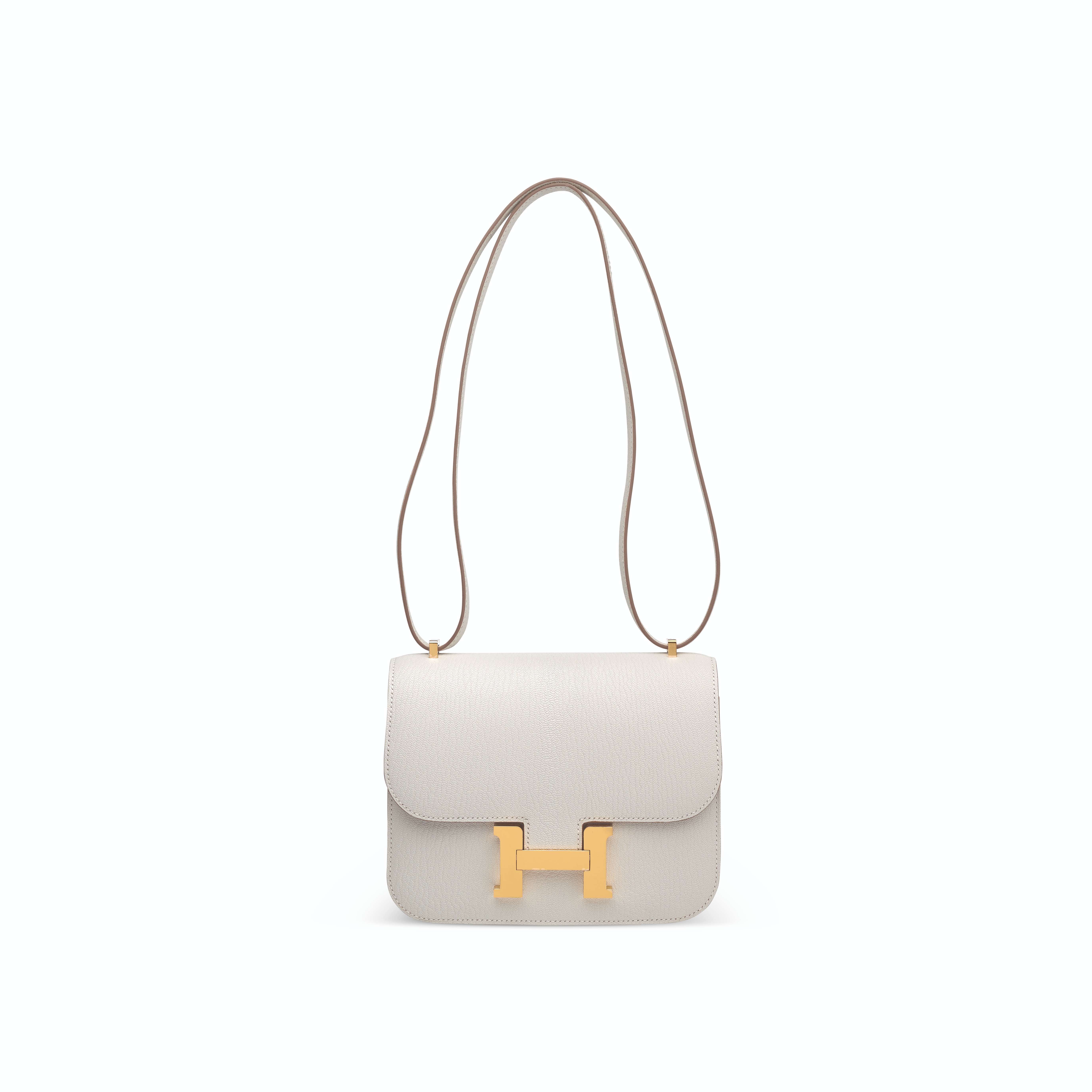Hermès Limited Edition Mushroom & Biscuit Chèvre Leather Verso Mini Constance 18 With Gold Hardware