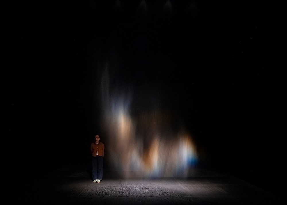 Your Curious Journey