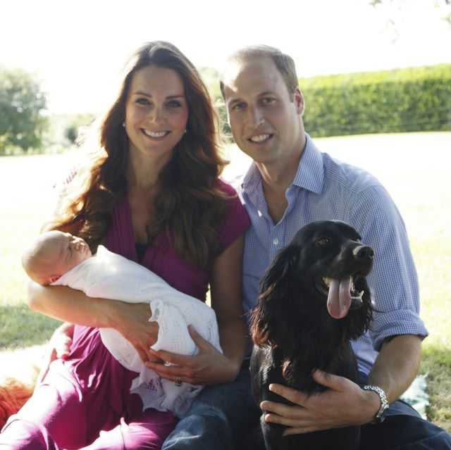 Lupo, Anjing Peliharaan Kate Middleton dan Pangeran William Telah Meninggal