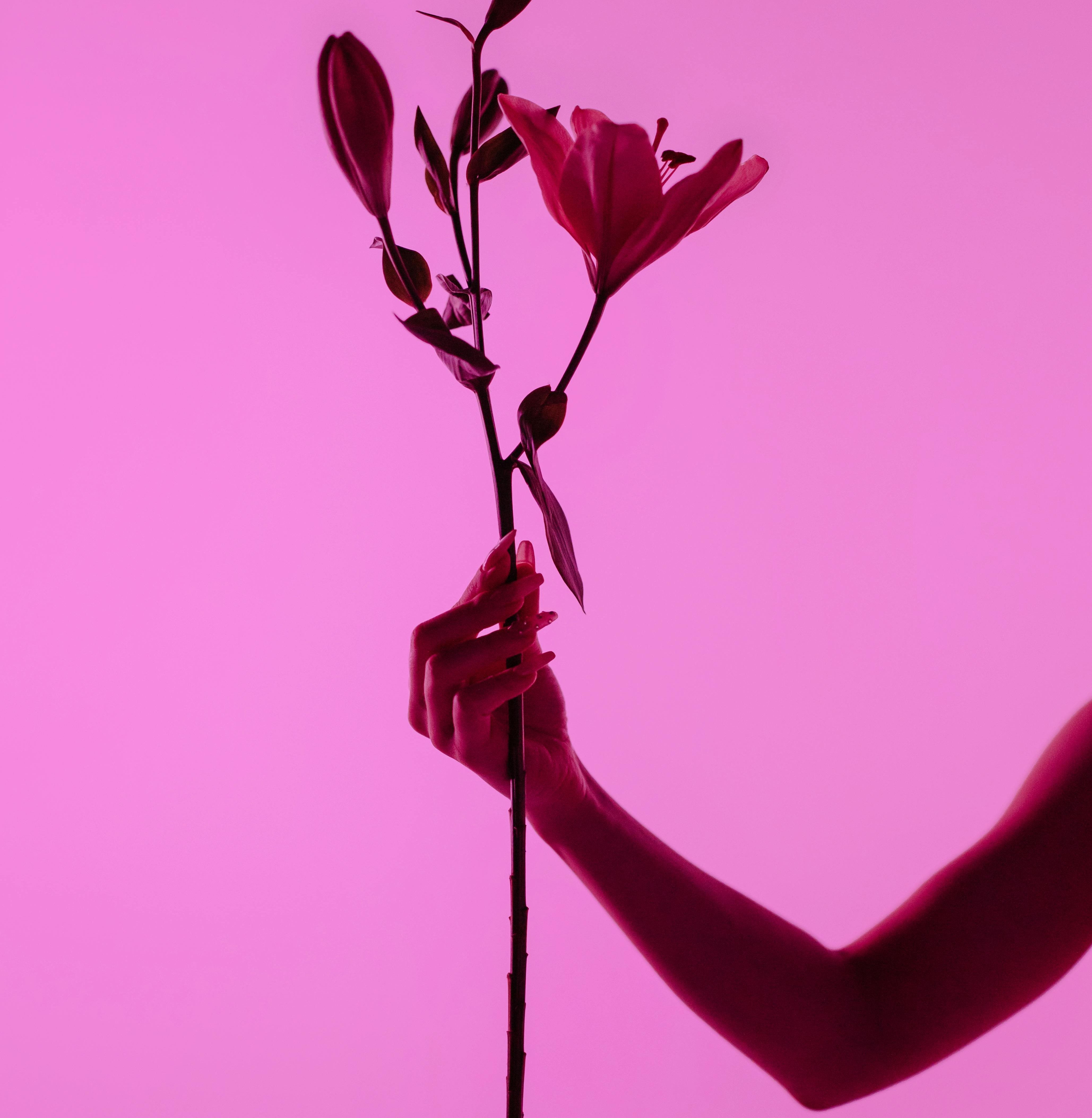 Menyimak 4 Tren Dari Dunia Kecantikan untuk Tahun 2026