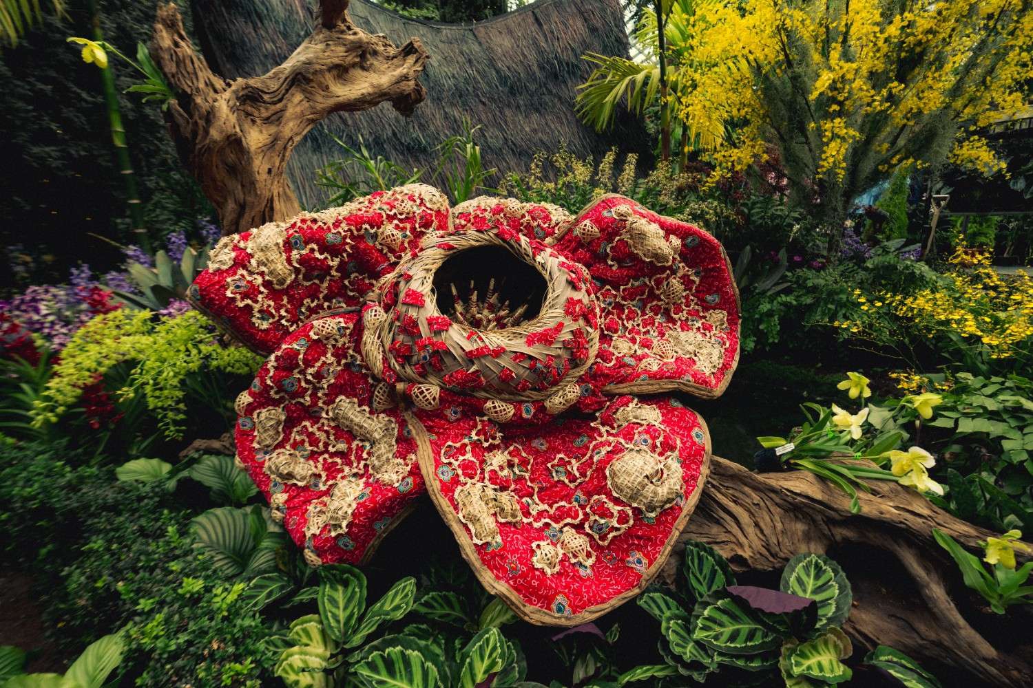 raflesia