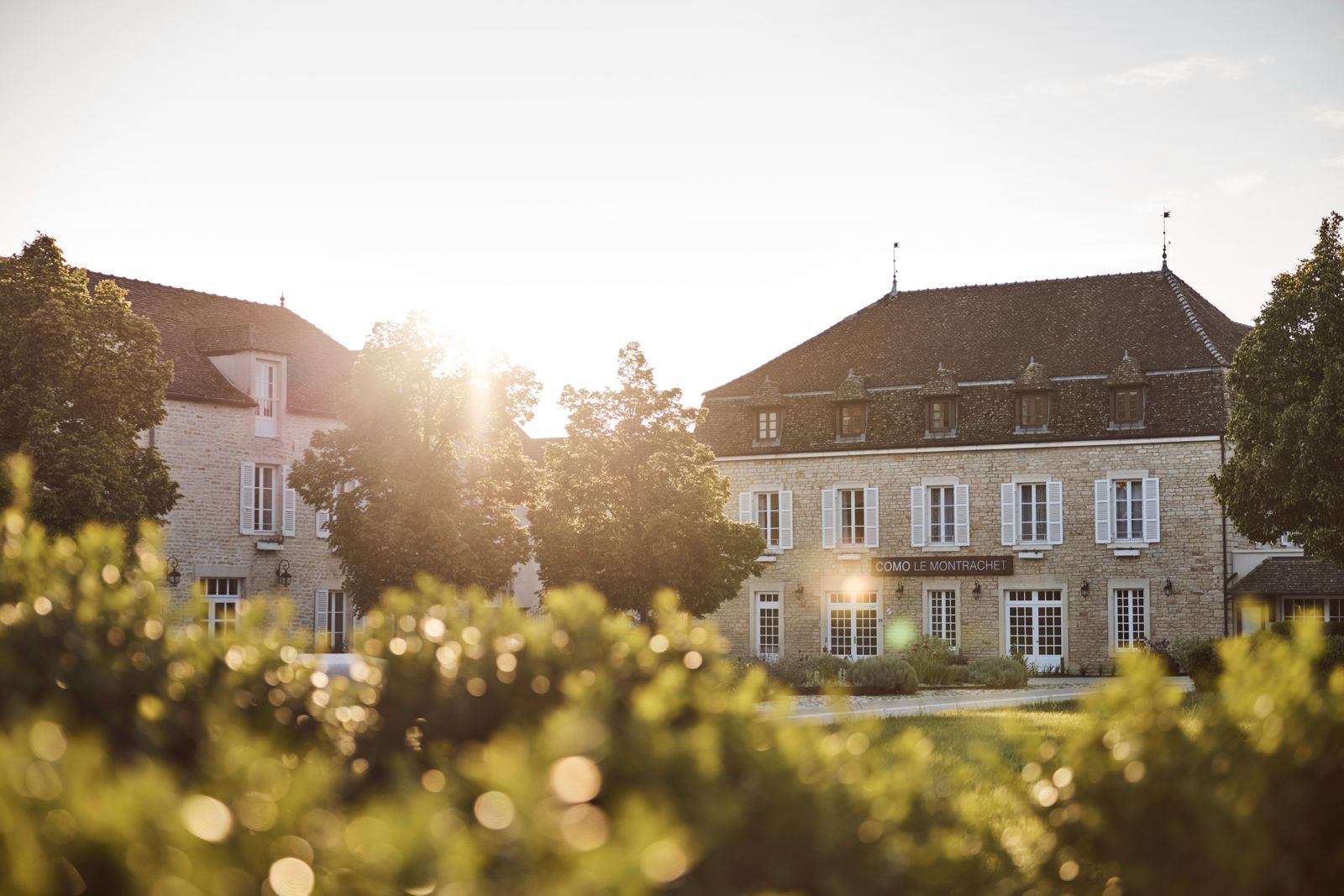 Como Le Montrachet Hadirkan Wisata Anggur Mewah di Burgundy