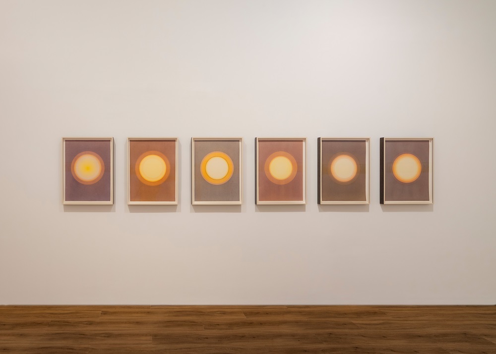 Your Curious Journey