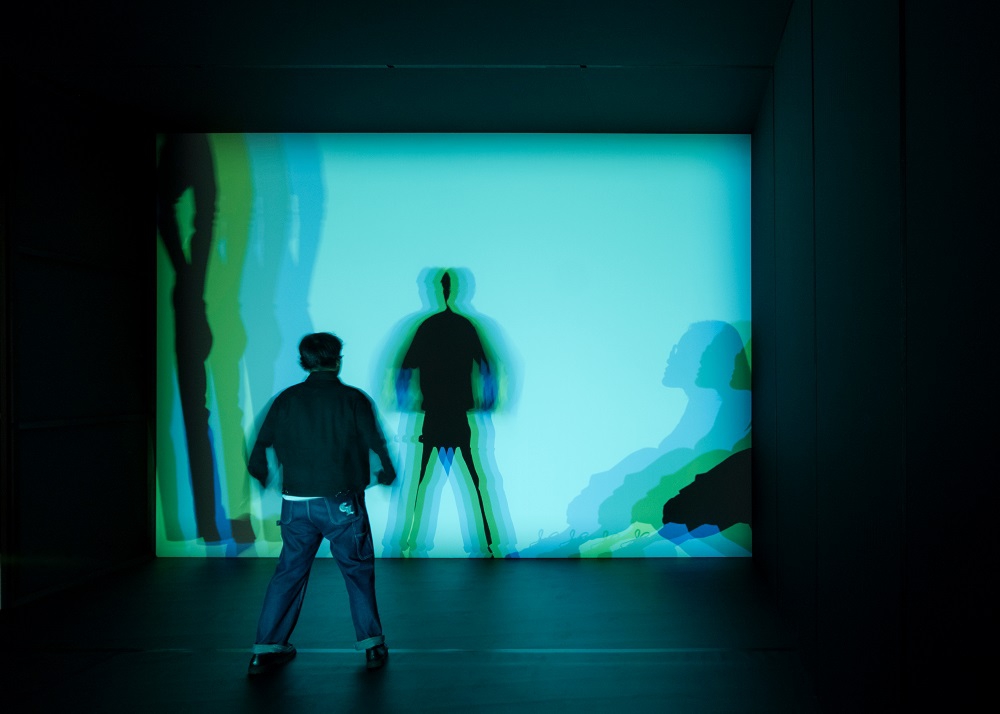 Your Curious Journey