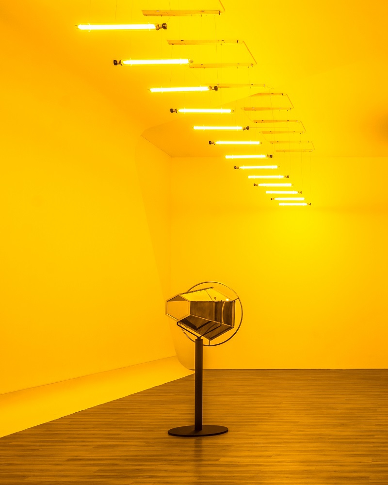 Your Curious Journey