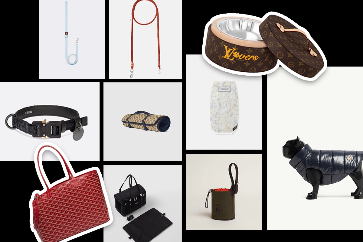 10 Aksesori Hewan Peliharaan dari Luxury Brand