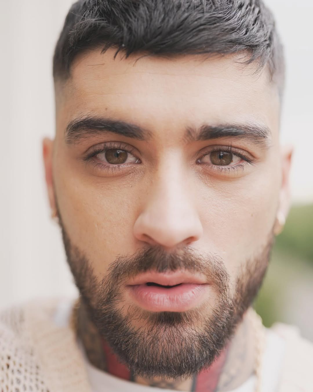 Zayn Malik