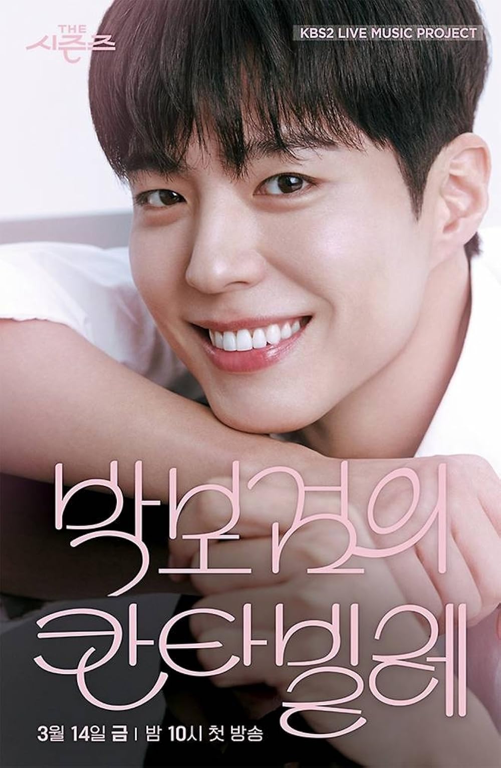 The Seasons: Park Bo-gum’s Cantabile (2025)