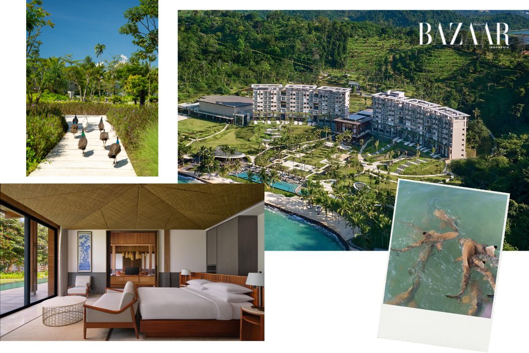 Menemukan Hurun di Lampung Marriott Resort & Spa