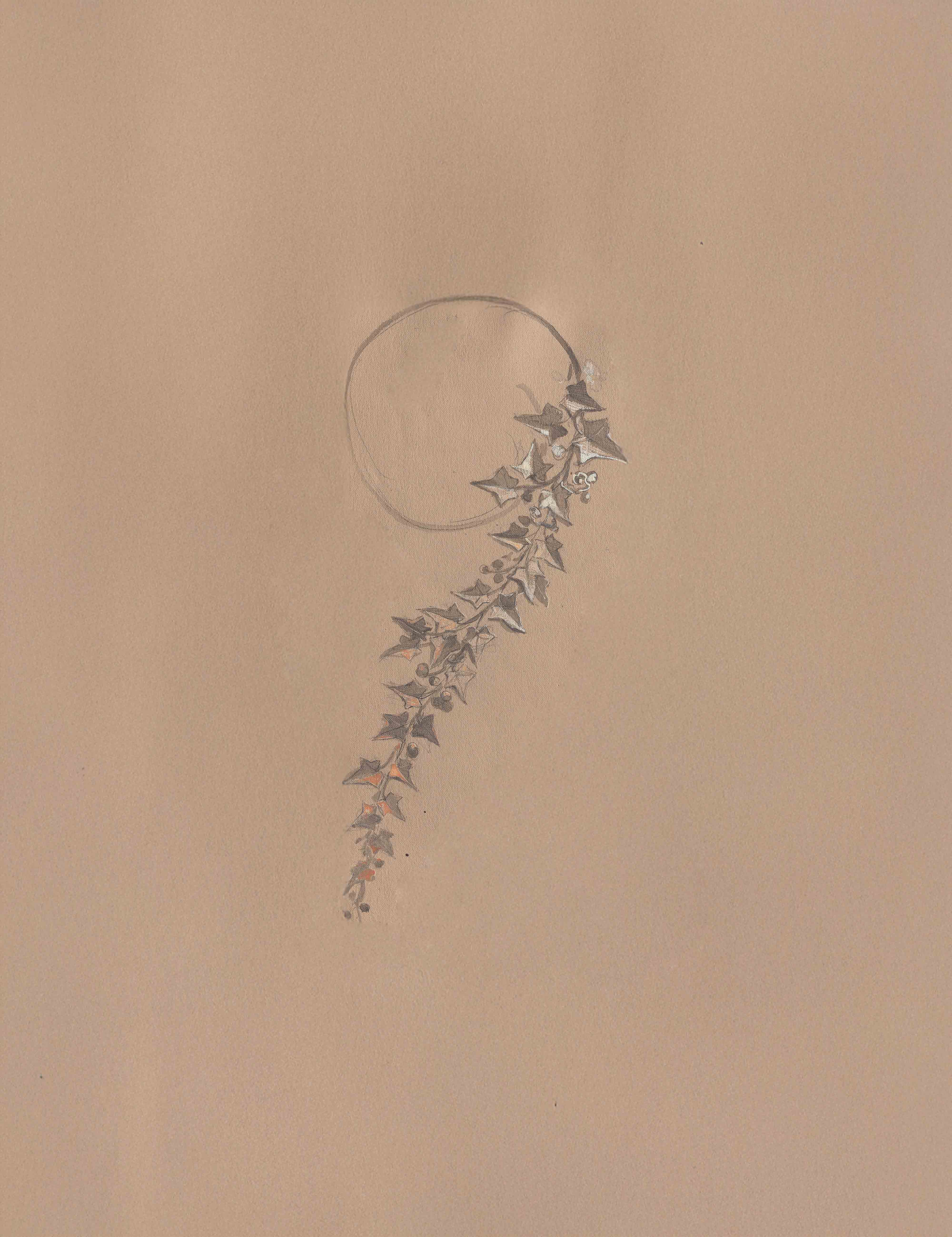 Hal-Hal yang Perlu Diketahui Tentang Boucheron