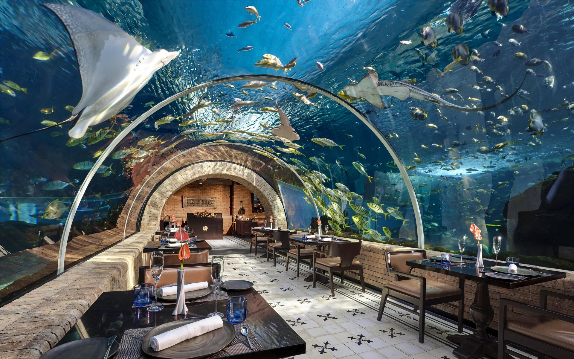 Koral Restaurant