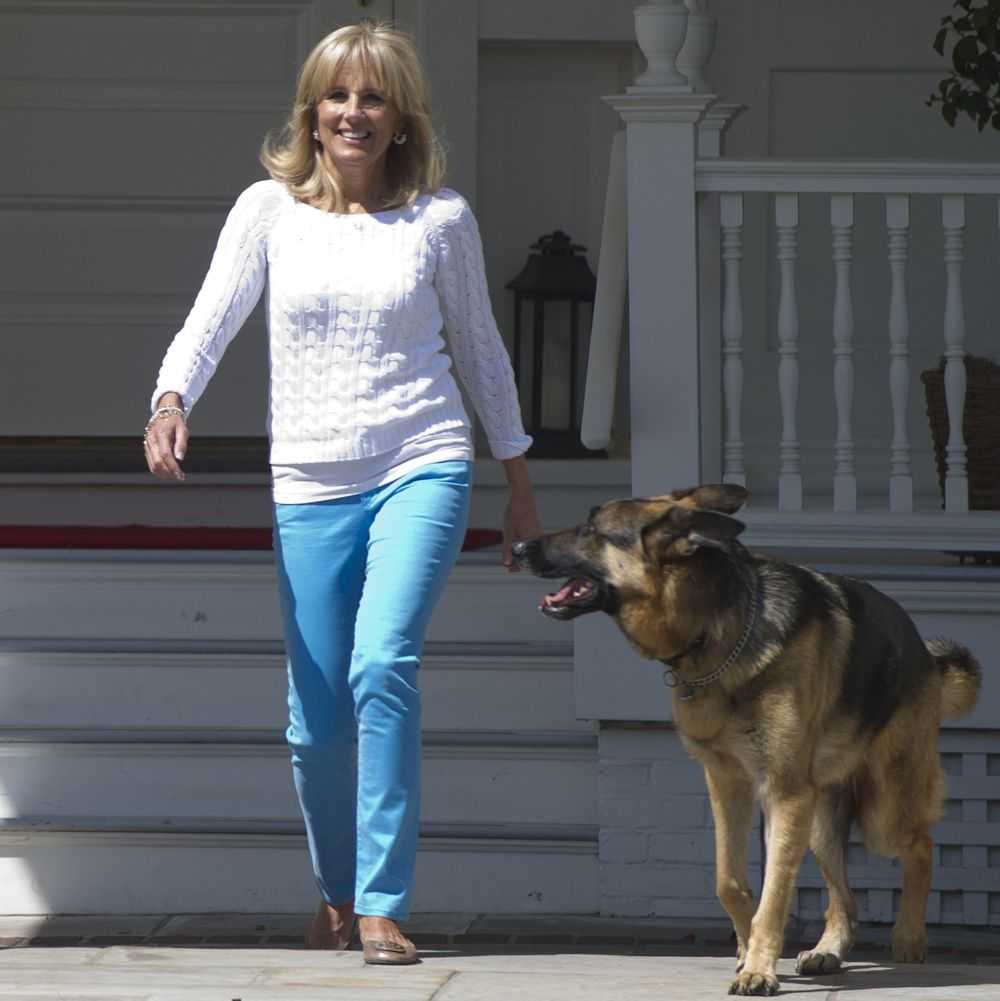 Berkenalan dengan Anjing Peliharaan Joe Biden, Major dan Champ, yang Juga Akan Jadi Penghuni Gedung Putih