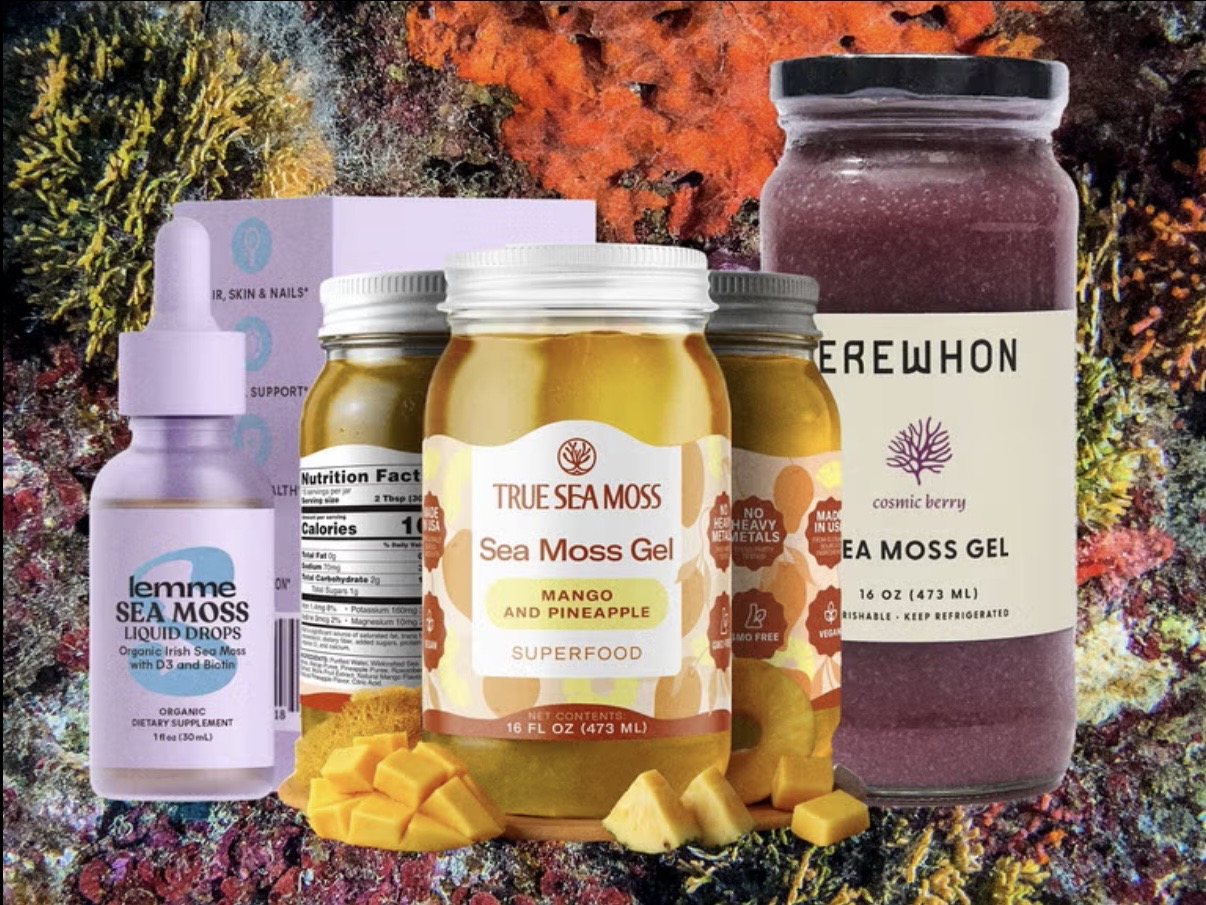 Panduan Ahli tentang Suplemen Sea Moss
