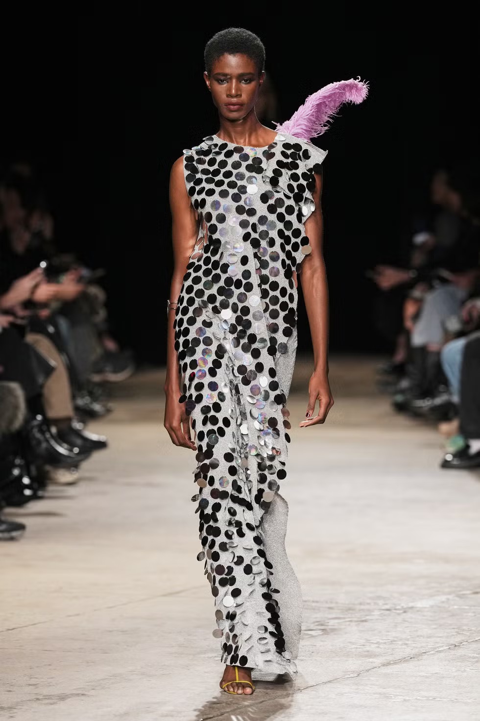 Zankov Fall Winter 2026