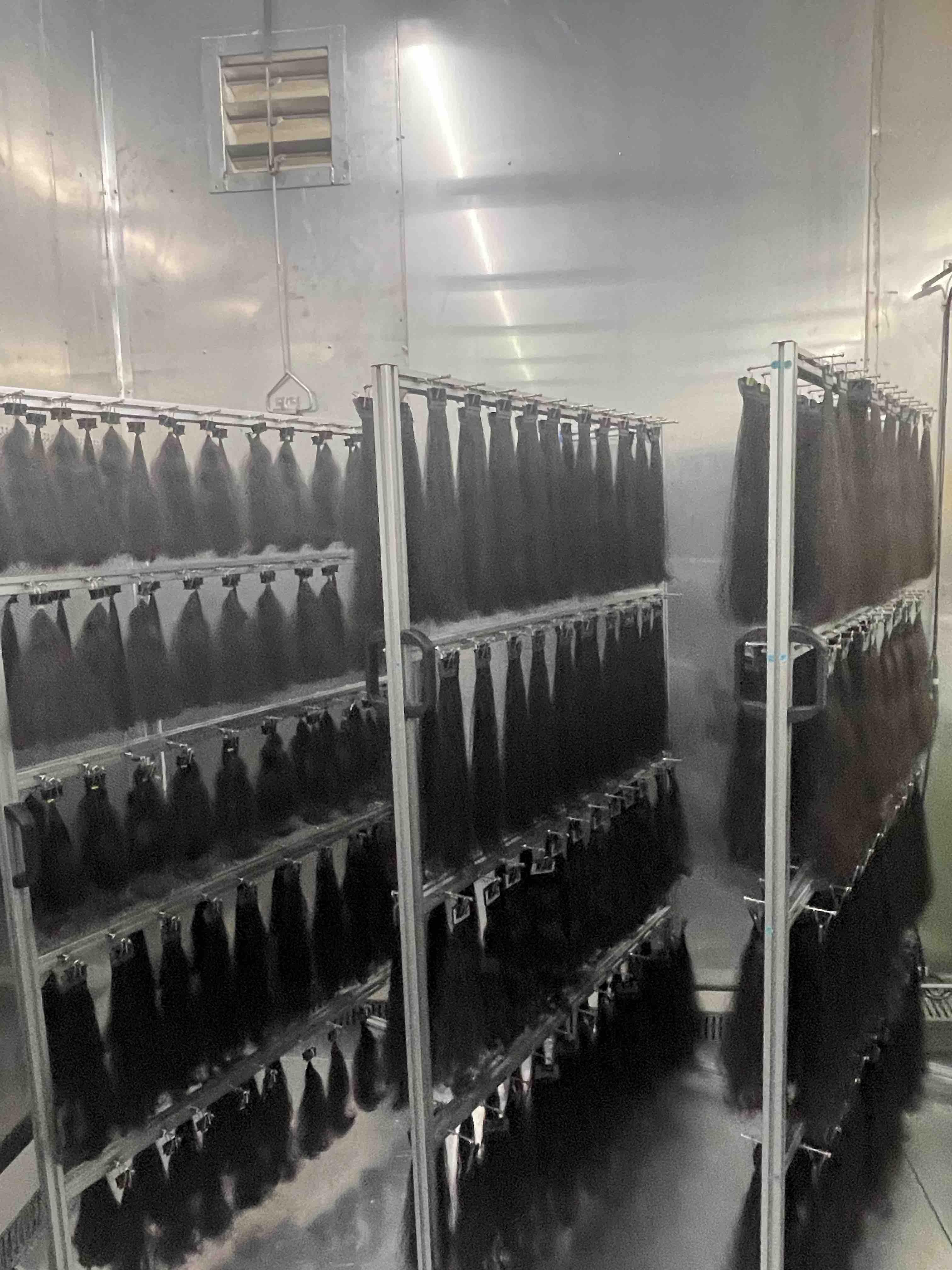 Dyson Global Headquarters Singapura