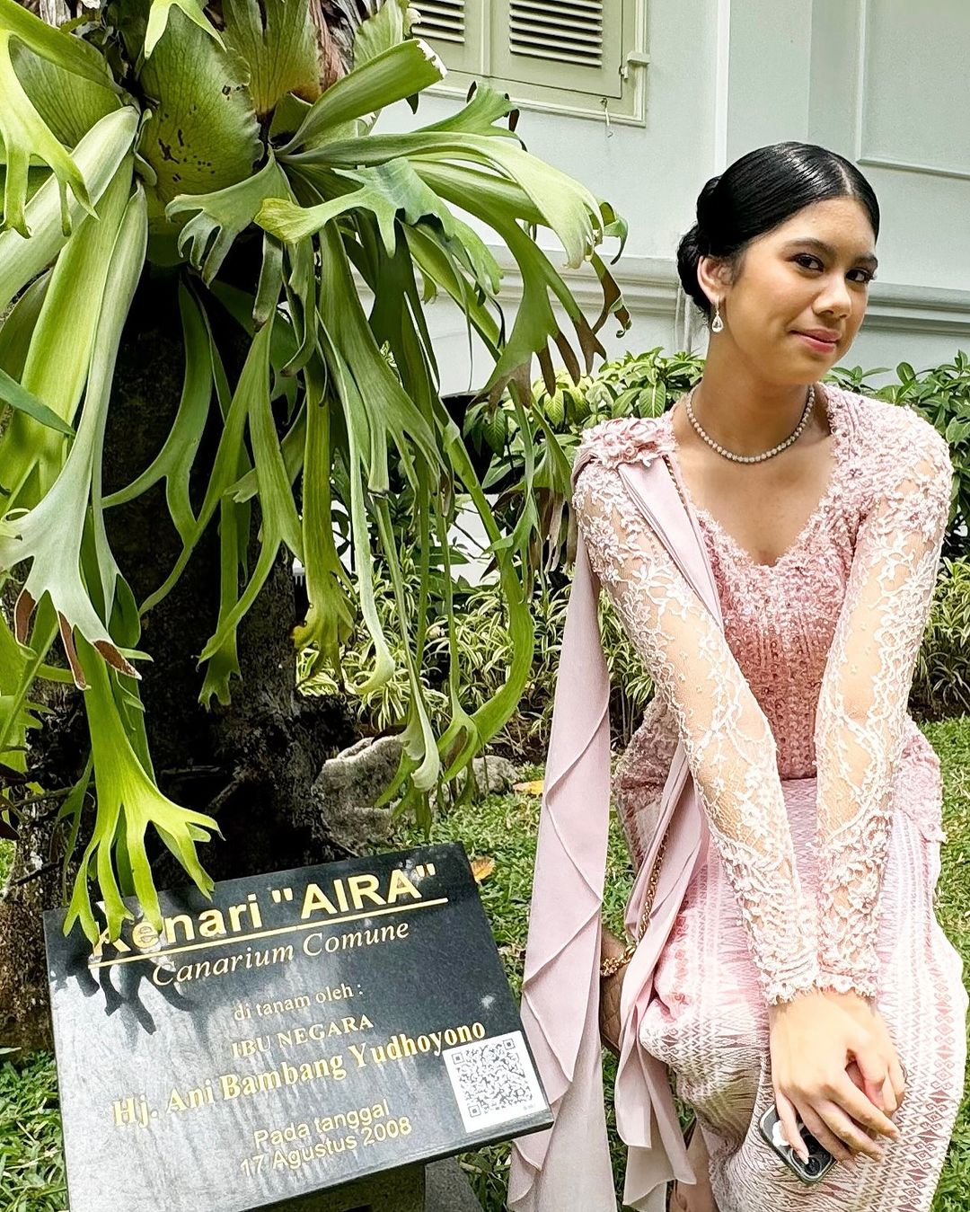 Cerita Pohon Kenari “Aira” yang Berada di Halaman Istana