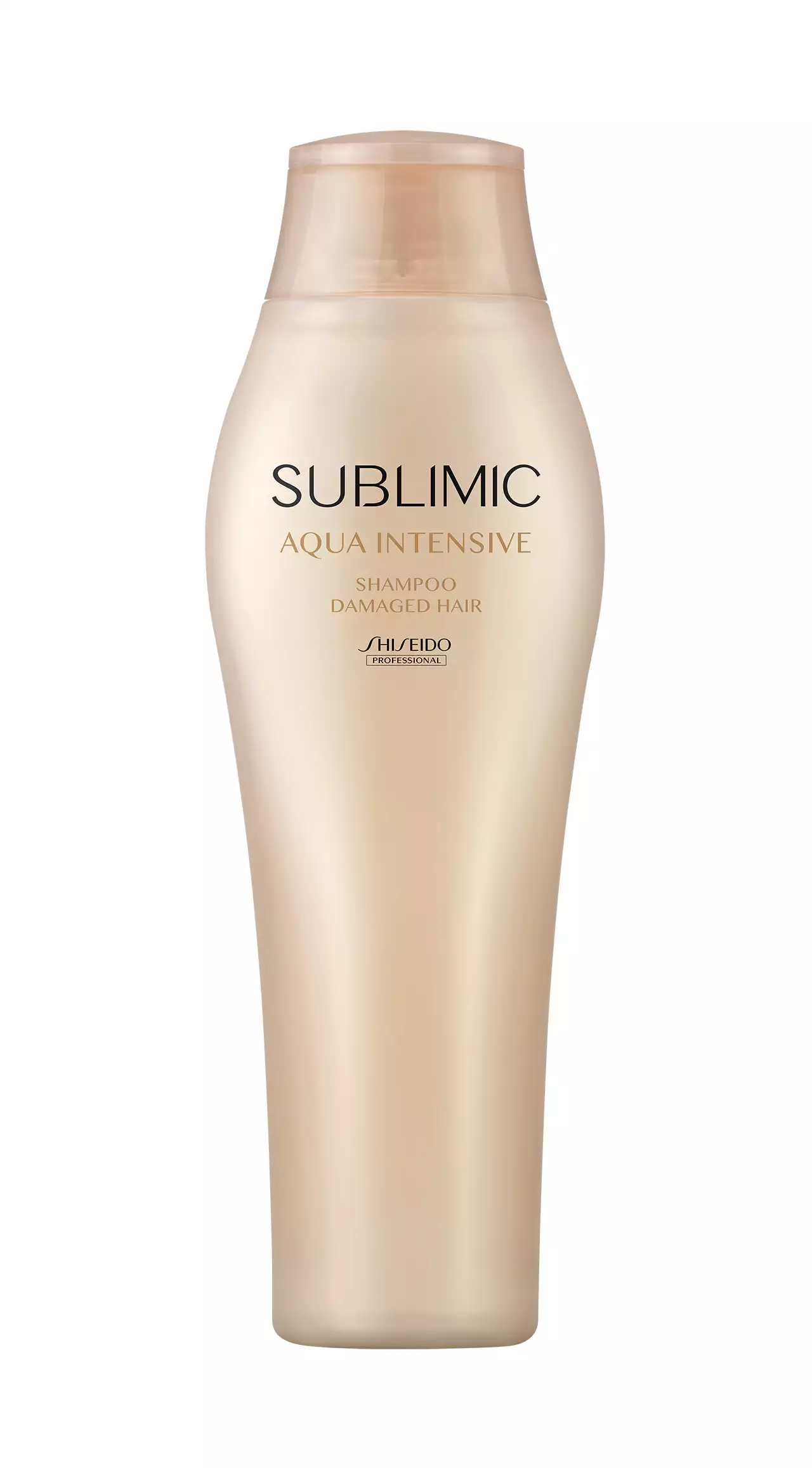 shampoo untuk rambut kering dan mengembang