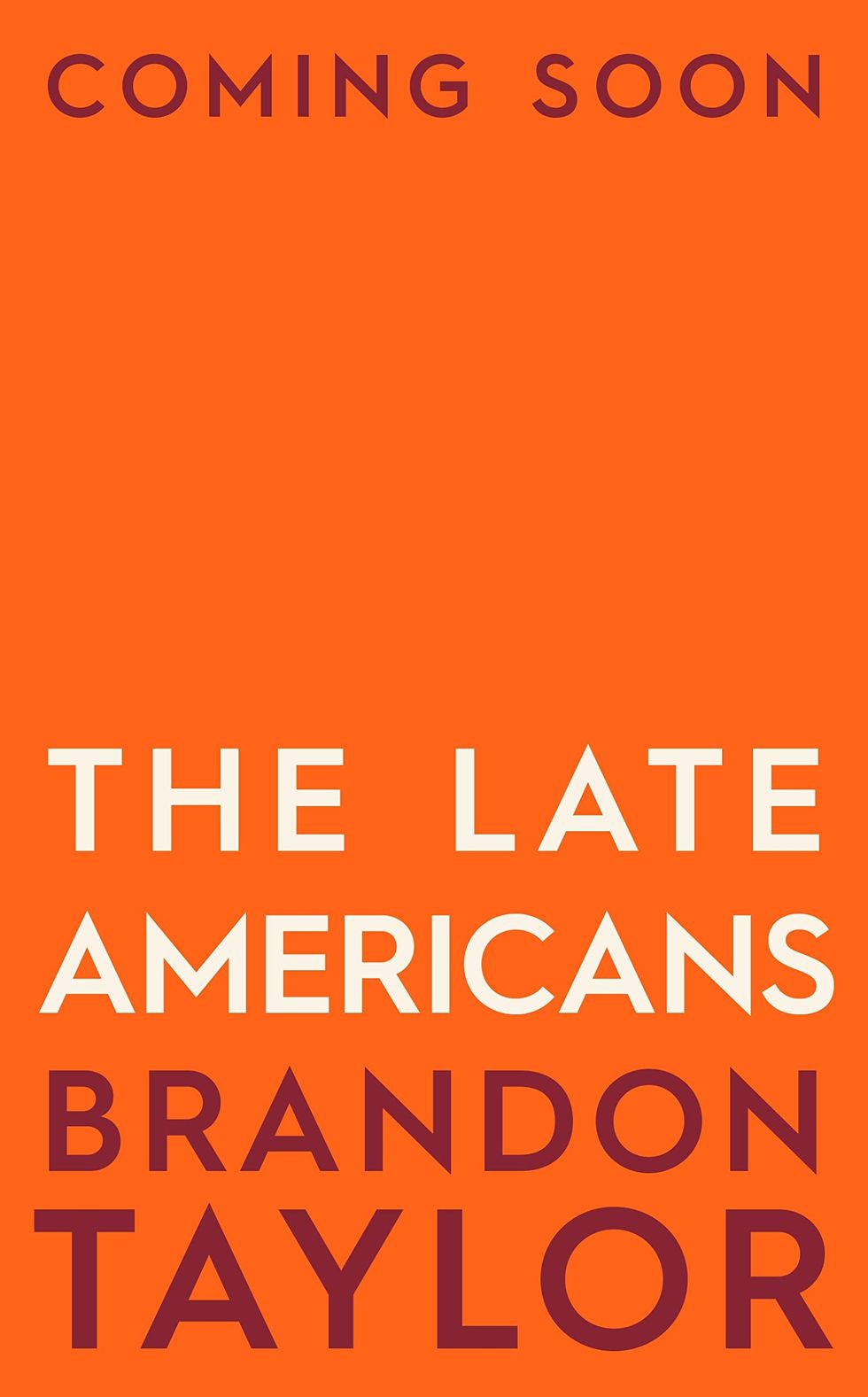 The Late Americans by Brandon Taylor Best Fiction Book 2023