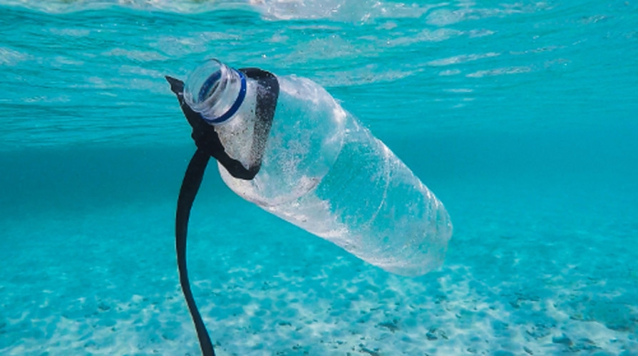 Bisakah Kita Hidup Tanpa Plastik?