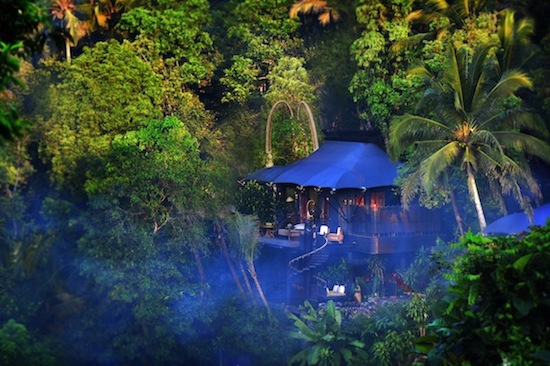 Perkemahan Mewah di Hutan Hujan Bali: Capella Ubud