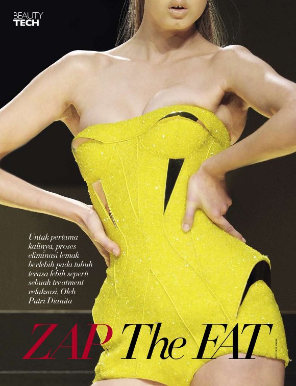 Zap The Fat