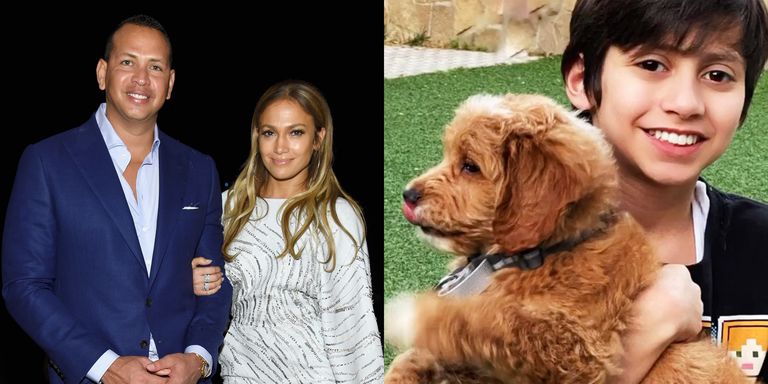 Jennifer Lopez dan A-Rod Mengadopsi Seekor Anjing Lucu