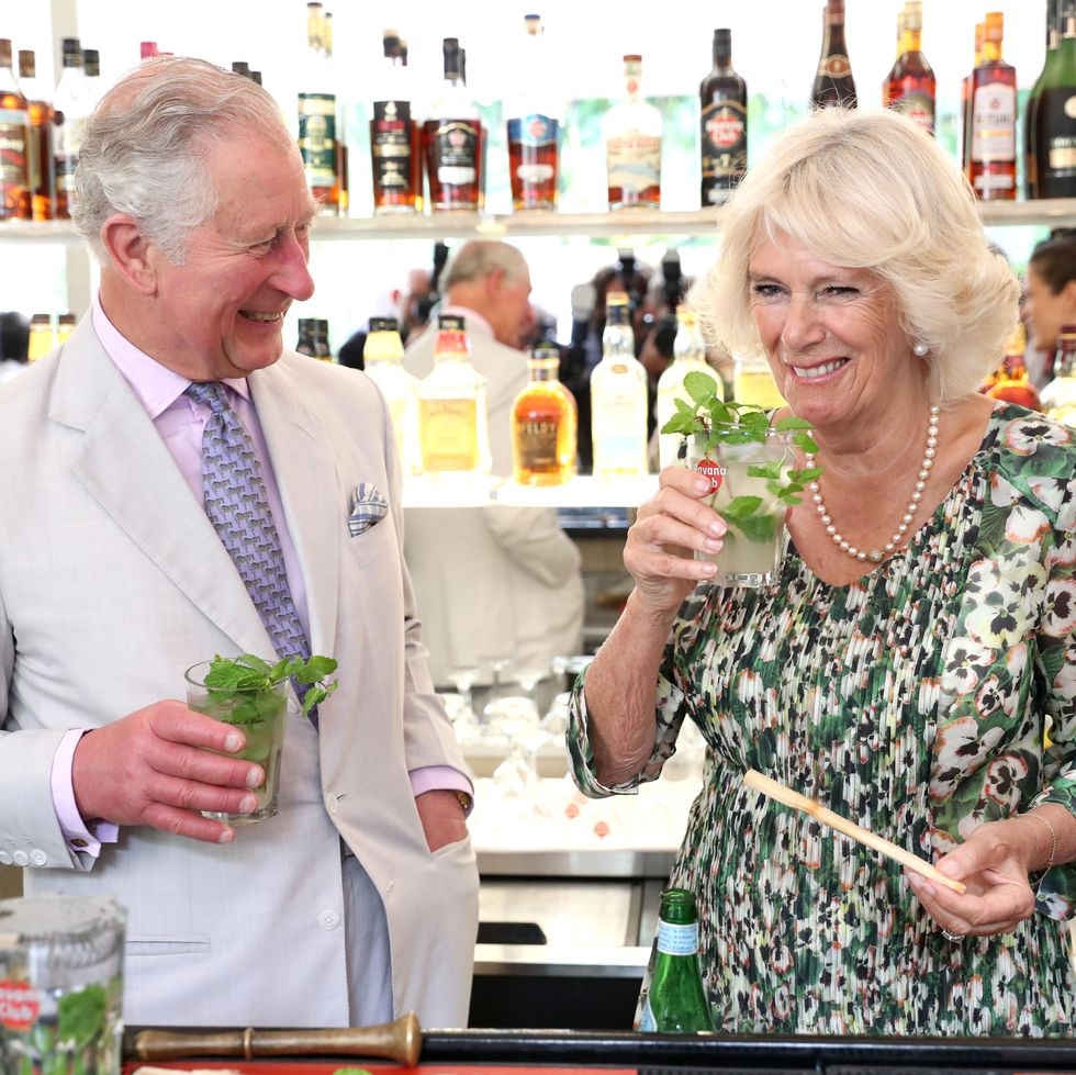 Perjalanan Cinta Pangeran Charles dan Camilla Parker Bowles