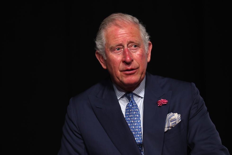 Prince Charles: Jadikan Pandemi Sebagai Momen untuk Reset