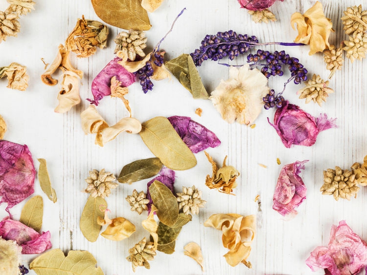 4 Langkah Cara Mudah Membuat Potpourri di Rumah