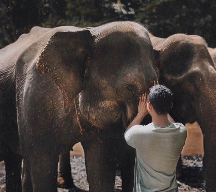 Tangkahan: Tempat Ekowisata di Indonesia Bagi Pencinta Gajah