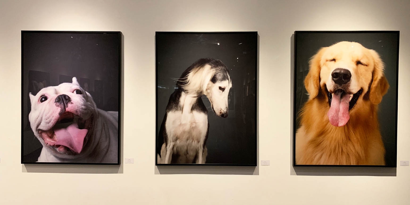 Edwin’s Gallery Menggelar Pameran Fotografi High Dogciety