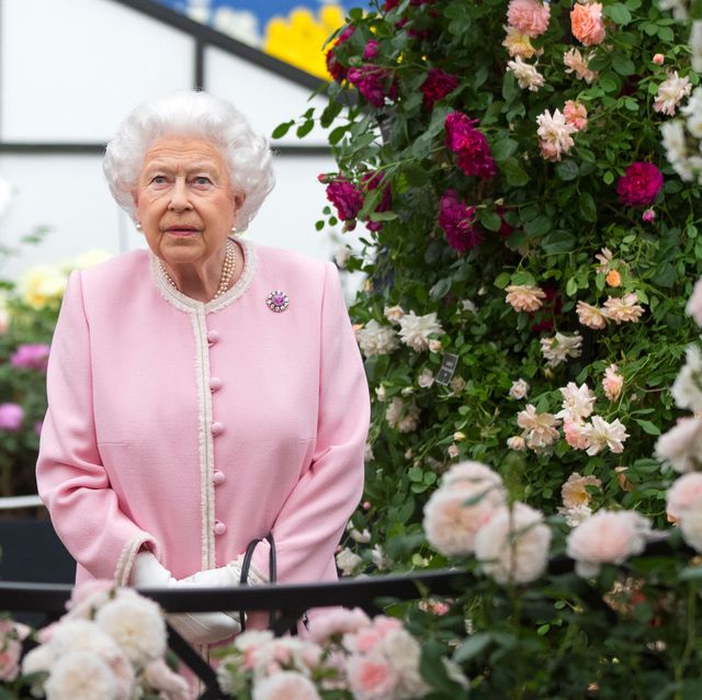 Ini Dia Jenis Bunga Favorit Para Anggota Royal Family!