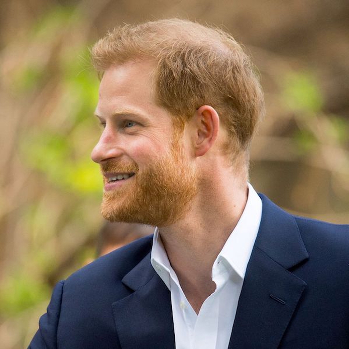 Pangeran Harry Sebut Pekerjaan yang Sebenarnya Ia Inginkan