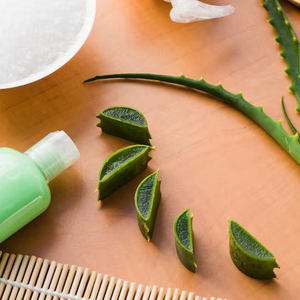 Apakah Lidah Buaya Bisa Memanjangkan Rambut? Ini Paparannya
