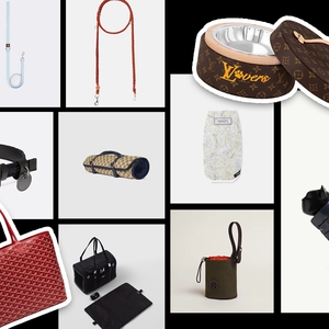 10 Aksesori Hewan Peliharaan dari Luxury Brand