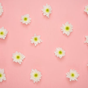 10 Jenis Bunga Untuk Rayakan Valentine Selain Mawar