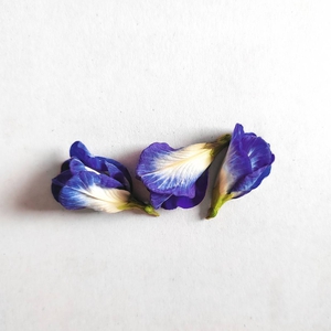 Manfaat Luar Biasa Bunga Telang untuk Menjaga Kesehatan dan Kecantikan Wajah