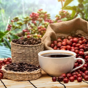 7 Kopi Terenak di Indonesia yang Wajib Dicoba dengan Rasa Asli Nusantara